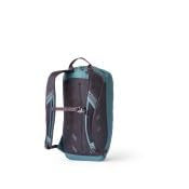 Gregory Nano 20 Unisex Day Hiking/Commuter/Active Travel Backpack