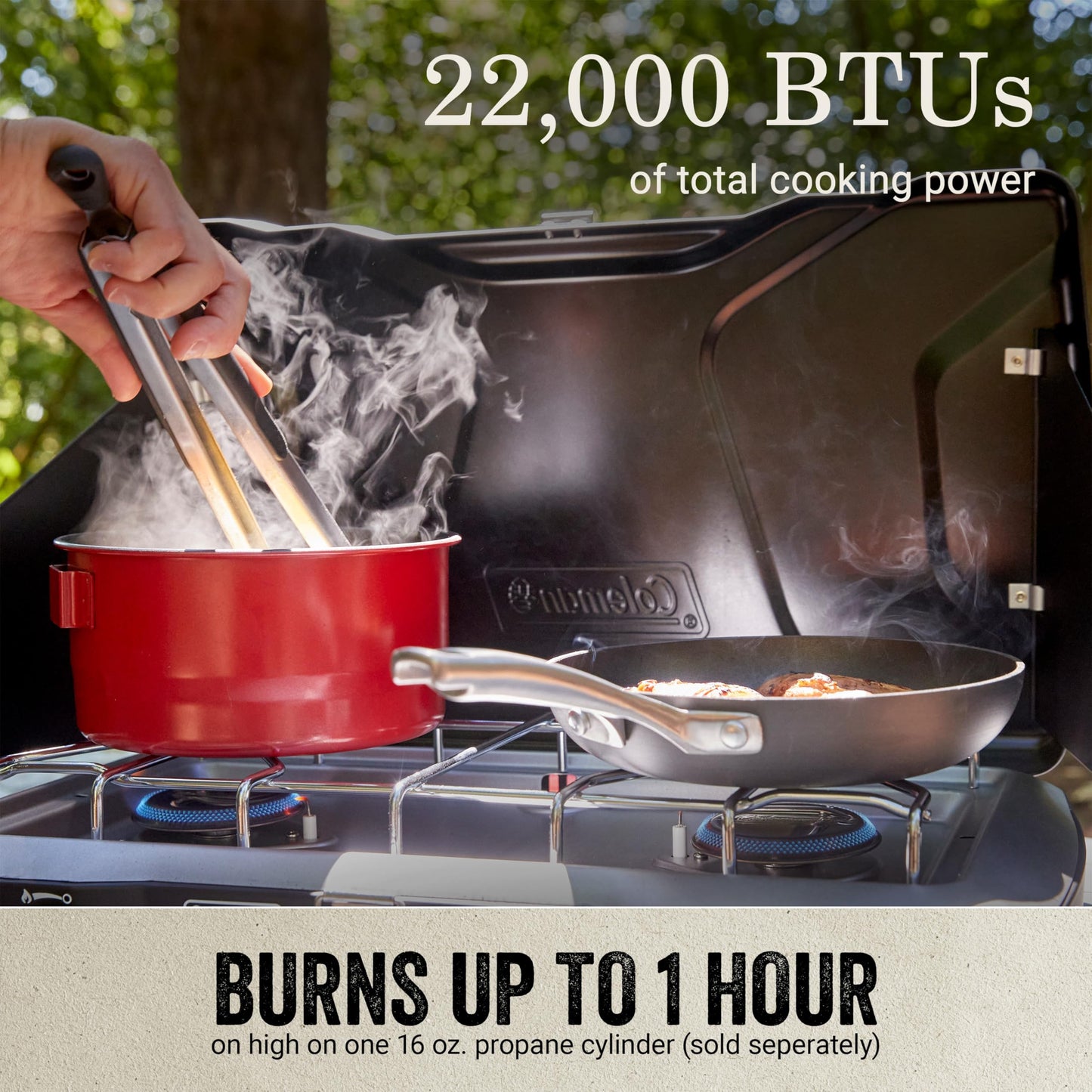 2-Burner Propane Camping Stove with Wind Guards
