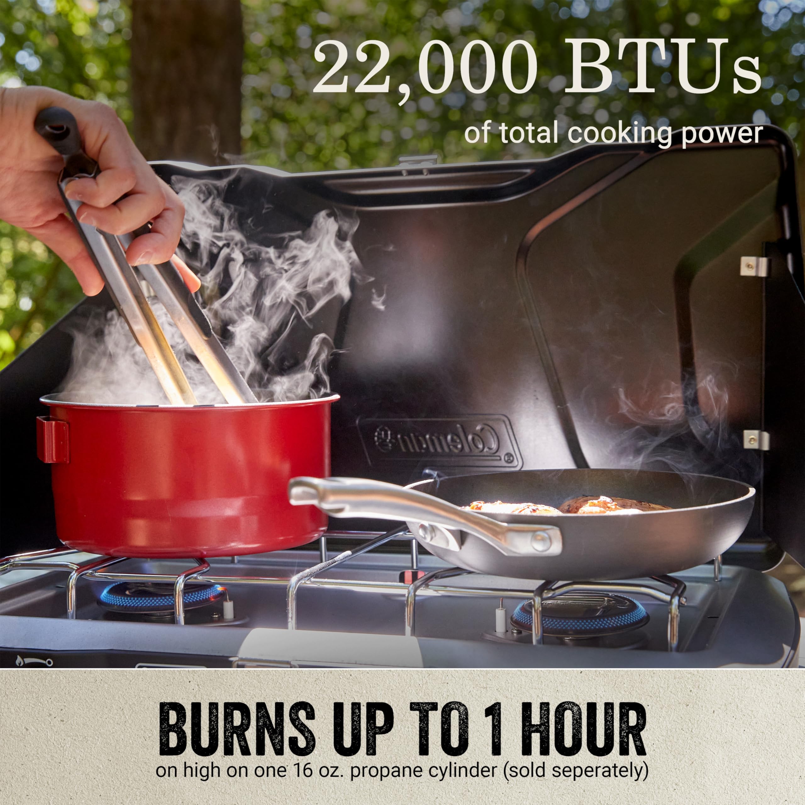 2-Burner Propane Camping Stove with Wind Guards