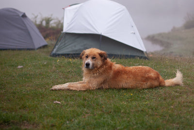 Nomavia outdoor equipment